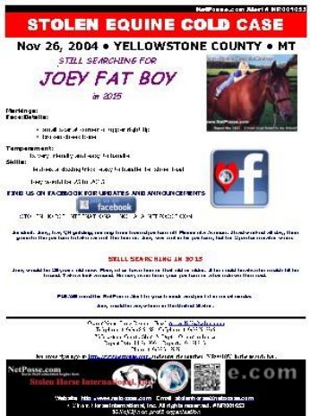 Joey Fat Boy